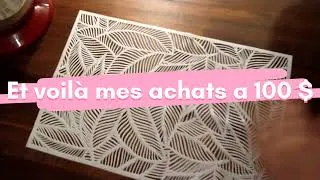 Miniature : Que pouvez-vous acheter chez Dollarama a 100$ au Canada??🇨🇦 De 1$ à 5$ reconstruire votre maison😍