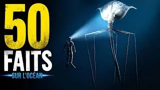 Miniature : 50 faits incroyables sur l'océan qui paraissent faux mais sont pourtant vrais
