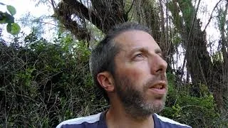 Miniature : Familles des bois 3 en quelques minutes!