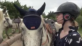 Miniature : De la musique pour les chevaux - Nec Plus Ultra
