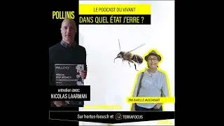 Miniature : DANS QUEL ÉTAT J'ERRE / Les Terraristes / Se bagarrer pour les abeilles avec Pollinis