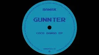 Miniature : Gunnter - Passion