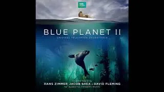 Miniature : Blue Planet II - 12 A Forest Awakens