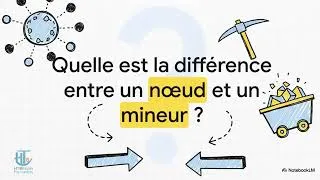 Miniature : Thème 5 : Les nœuds et le rôle du réseau décentralisé