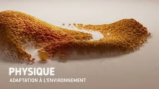 Miniature : HTC Santé - Vos centres santé et bien-être