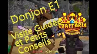 Miniature : Craftaria Donjon E1 : Visite Guidée et Petits Conseils