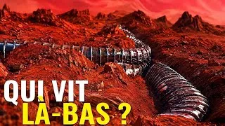 Miniature : Des signaux sensationnels de Mars captés par nos sondes