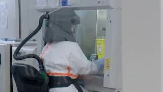 Miniature : Hantavirus sur un navire de croisière : les HUG identifient la souche du virus