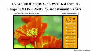 Miniature : Traitement d'images sur le Web : Rapport de projet - NSI Première