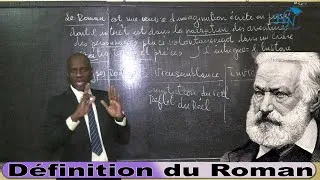 Miniature : Définition du Roman