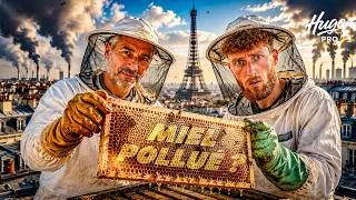 Miniature : UNE JOURNÉE AVEC UN APICULTEUR.. SUR LES TOITS DE PARIS.
