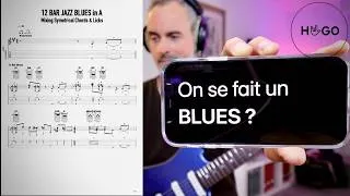 Miniature : 12 Bar Major Blues // Chords & Melody (using symmetrical guitar motifs)