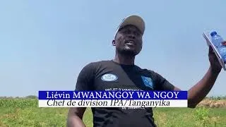 Miniature : MAGAZINE PROJET PICAGL PAR HPP Congo TANGANYIKA