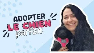 Miniature : Comment adopter le chien parfait pour moi ?