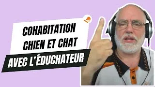 Miniature : Cohabitation entre chien et chat avec l'éduchateur !