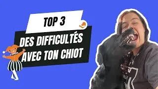 Miniature : Top 3 des difficultés que tu vies avec ton chiot (et les solutions !)