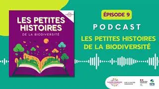 Miniature : Quand la soie régnait sur la France - Épisode 9 (Saison 6)