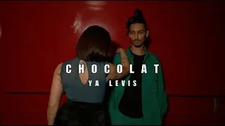 Miniature : Chocolat - Dorian x Kate Human's