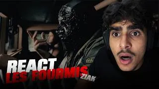 Miniature : Il a encore frapper fort | REACT ZIAK LES FOURMIS
