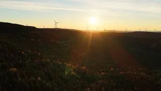 Miniature : Hydro-Quebec | Environment, impacts and mitigation measures