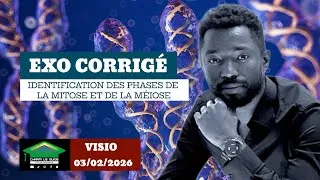 Miniature : CORRECTION D’EXERCICES TYPE BAC | Mitose - Méiose | Visio du 03/02/2026