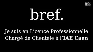 Miniature : Les étudiants de la Licence Pro chargé de clientèle vous présentent leur diplôme !