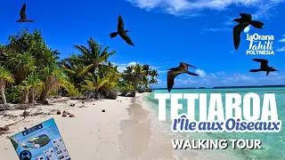 Miniature : Put Your Feet in a Bowl & Walk with Me Around Tahuna Iti, Tetiaroa