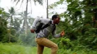 Miniature : Aventure en Forêt Équatoriale L Attaque des Abeilles1 #ia #wildlife #funny #film