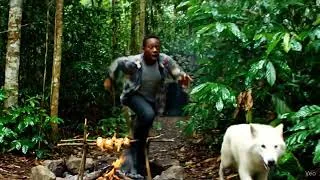 Miniature : L'Impossible Prédateur : Attaque de Loup dans la Jungle (100% IA) #ia #intelligenceartificielle #fyp