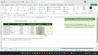 Miniature : TP : Calcul de marge commerciale par plat sur Excel