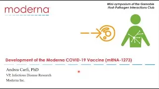 Miniature : Development of the Moderna mRNA vaccine against COVID-19