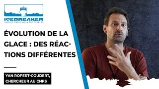 Miniature : Breaking Ice / A chaque espèce ses préférences... Par Yan Ropert-Coudert