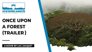 Miniature : Once Upon A Forest, a movie directed by Luc Jacquet (trailer)