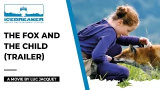Miniature : The Fox and the Child, a movie narrated by Kate Winslet and directed by Luc Jacquet (trailer)