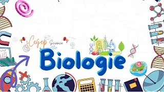 Miniature : La Cellule Animale : L’Unité de Base de Tout Être Vivant 🧬