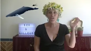 Miniature : *** JE NAGE AVEC LES BALEINES ENTRE TAHITI ET MOOREA ***