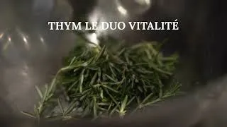 Miniature : STRESS & ÉPUISEMENT : 6 Plantes pour recharger votre cerveau ! 🧠🔋#stress  #bienêtre  #ashwagandha