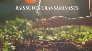 Miniature : DÉTOX FOIE : Le protocole radical pour 21 jours (5 plantes) 🌿#detox #foie  #santénaturelle