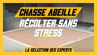 Miniature : L’accessoire indispensable pour récolter le miel sans stress 🍯