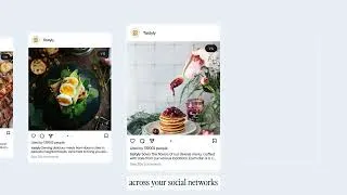 Miniature : Iconosquare: Social Media Analytics, Publishing & Reporting