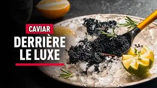 Miniature : Tarama, caviar : les dessous d’un marché EN OR - Reportage Complet - KM