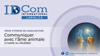 Miniature : Communiquer avec l'âme animale (vivante ou décédée) avec Isabelle David