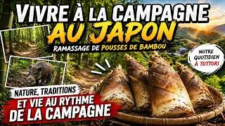 Miniature : Personne ne parle de cette vie au Japon… (campagne à Tottori)