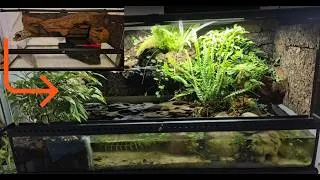 Miniature : Paludarium
