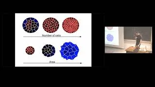 Miniature : Scaling laws : General Considerations Scaling - II - Marc-Antoine Fardin