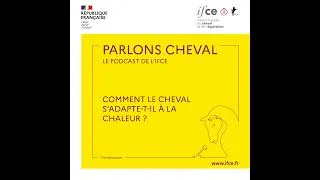 Miniature : Ép. 94 | Comment le cheval s'adapte-t-il à la chaleur ? - Juliette Auclair-Ronzaud