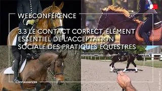 Miniature : Le contact correct, élément essentiel de l’acceptation sociale des pratiques équestres - C. Trolliet