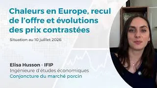 Miniature : Marché du porc : chaleurs en Europe, recul de l'offre et évolutions des prix contrastées