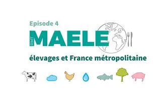 Miniature : Episode 4 : quelle adéquation entre agriculture et alimentation en France ? (Vidéo RMT Maele)