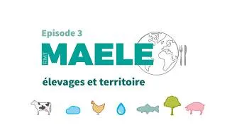 Miniature : Episode 3 : élevages et territoire - Vidéo du RMT Maele